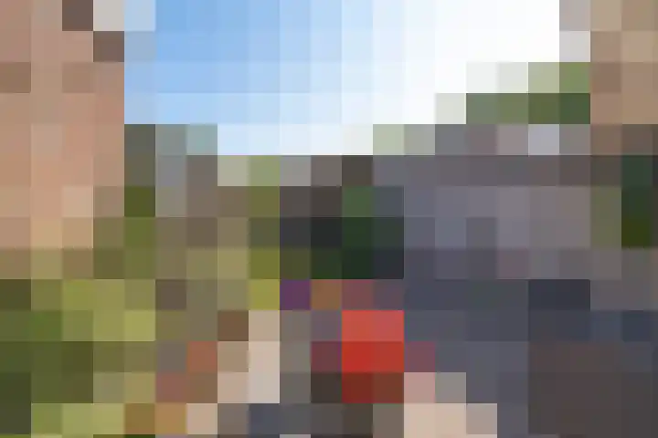 Heidelaan 4 Emmen thumbnail 32