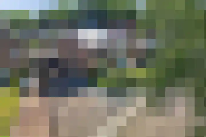 Heidelaan 4 Emmen thumbnail 36