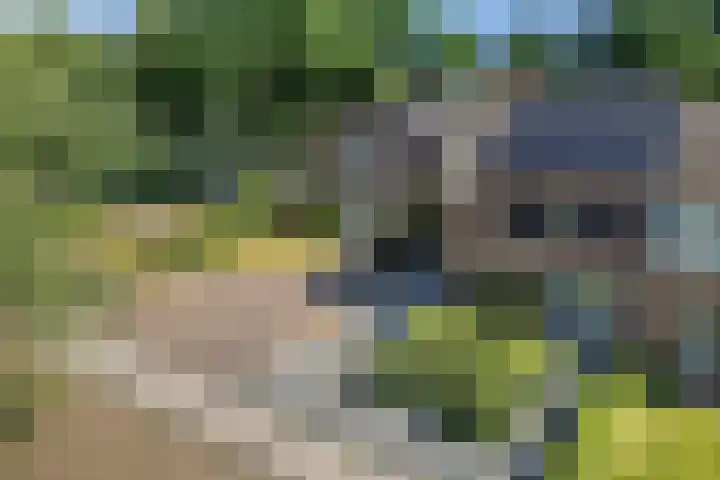 Heidelaan 4 Emmen thumbnail 37