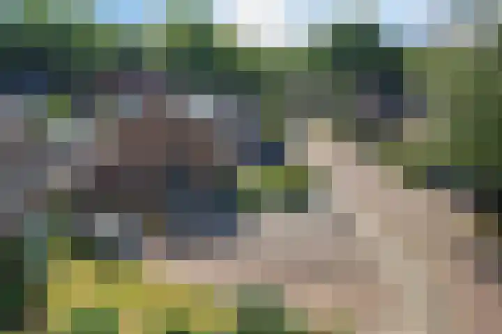 Heidelaan 4 Emmen thumbnail 38