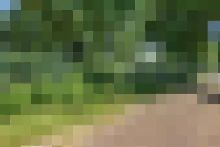 Heidelaan 4 Emmen thumbnail 39