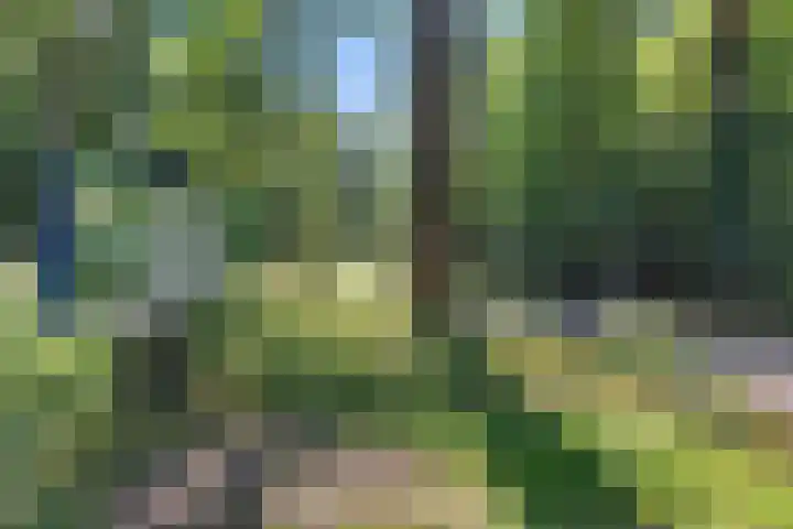Heidelaan 4 Emmen thumbnail 40
