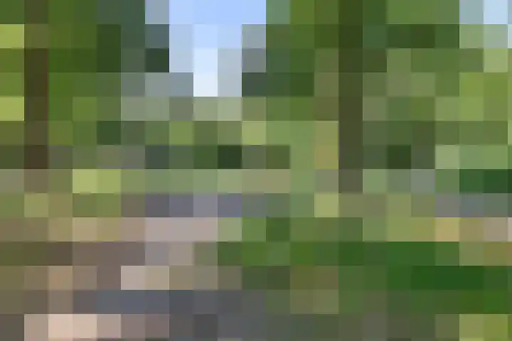 Heidelaan 4 Emmen thumbnail 41