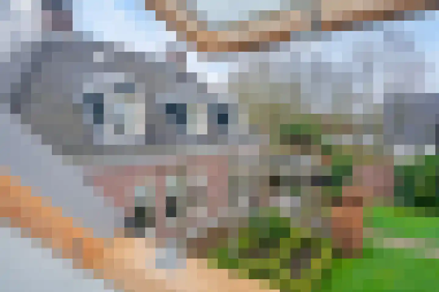 Heidelaan 41 Oranjewoud thumbnail 41
