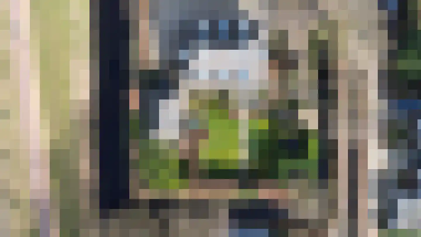 Heidelaan 41 Oranjewoud thumbnail 52