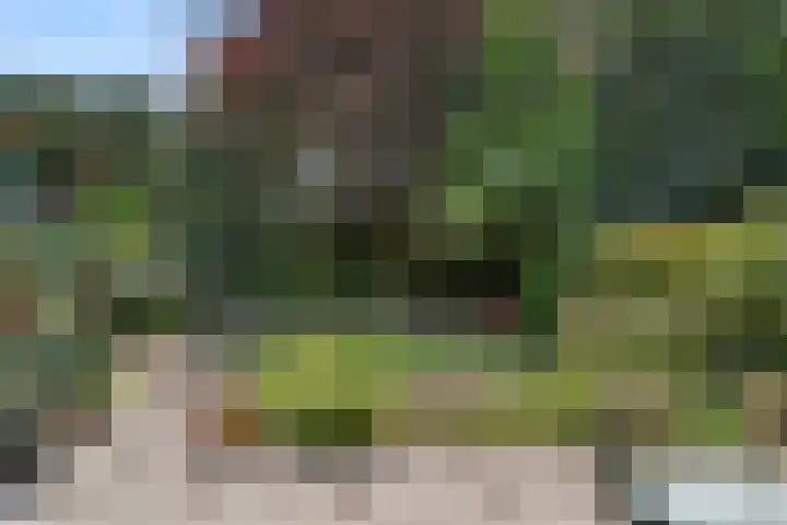 Heidelaan 44 Bennekom thumbnail 15