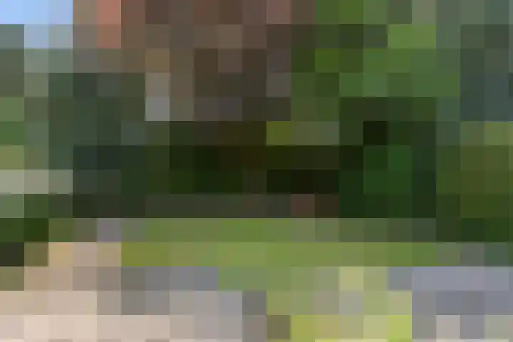 Heidelaan 44 Bennekom thumbnail 16
