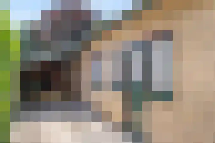 Heidelaan 44 Bennekom thumbnail 17