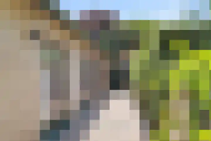 Heidelaan 44 Bennekom thumbnail 18