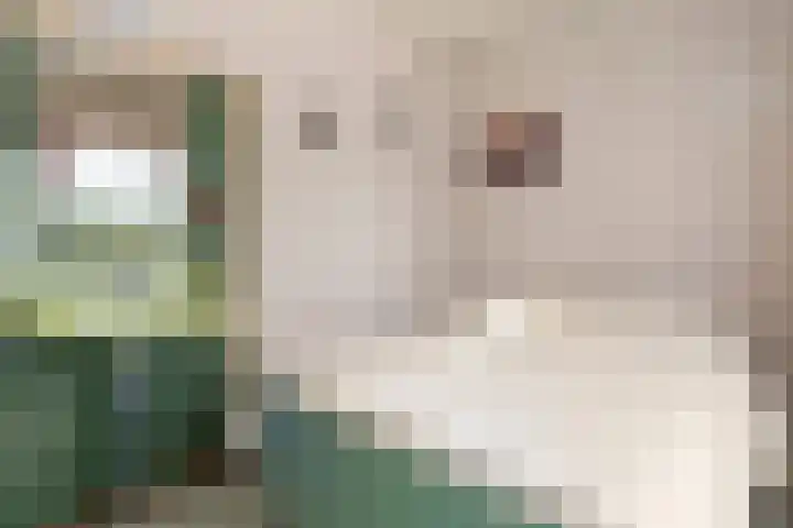 Heidelaan 44 Bennekom thumbnail 39