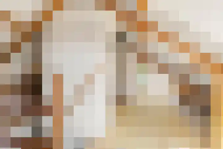 Heidelaan 44 Bennekom thumbnail 42