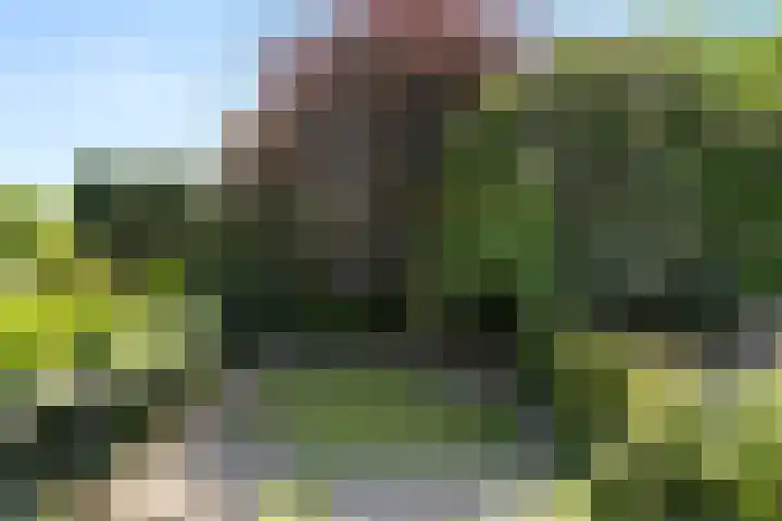 Heidelaan 44 Bennekom thumbnail 46
