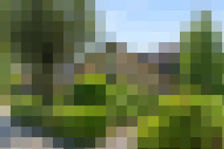 Heidelaan 44 Bennekom thumbnail 54