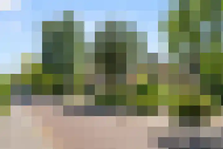 Heidelaan 44 Bennekom thumbnail 7