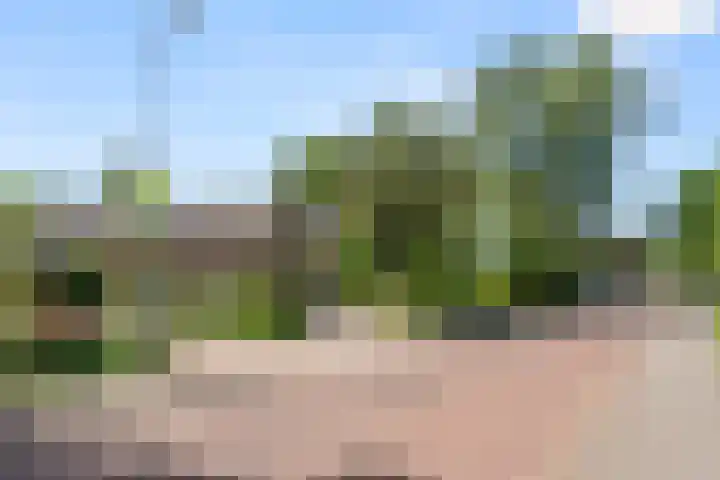 Heidelaan 44 Bennekom thumbnail 8