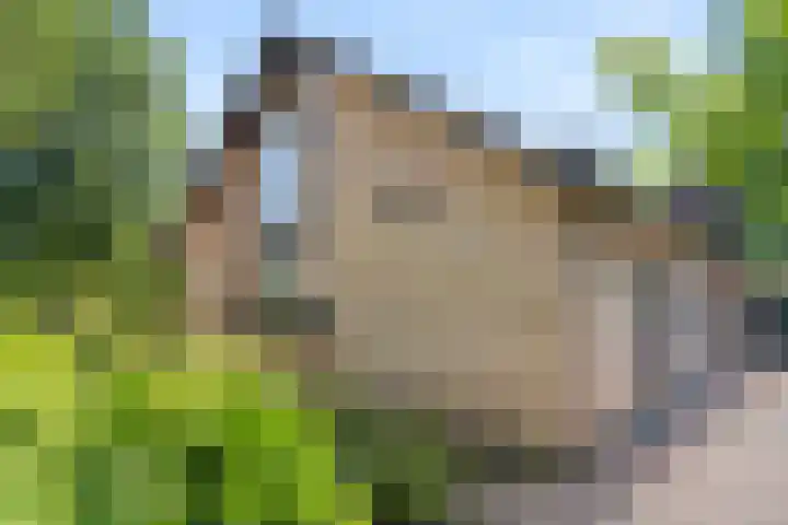 Heidelaan 44 Bennekom thumbnail 9