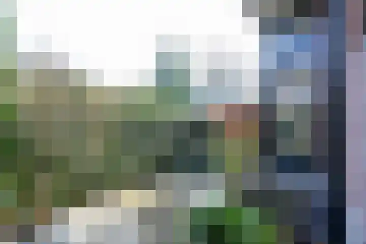 Heidelaan 46 Bussum thumbnail 4
