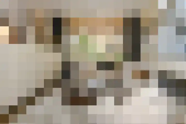 Heidelaan 46 Bussum thumbnail 6