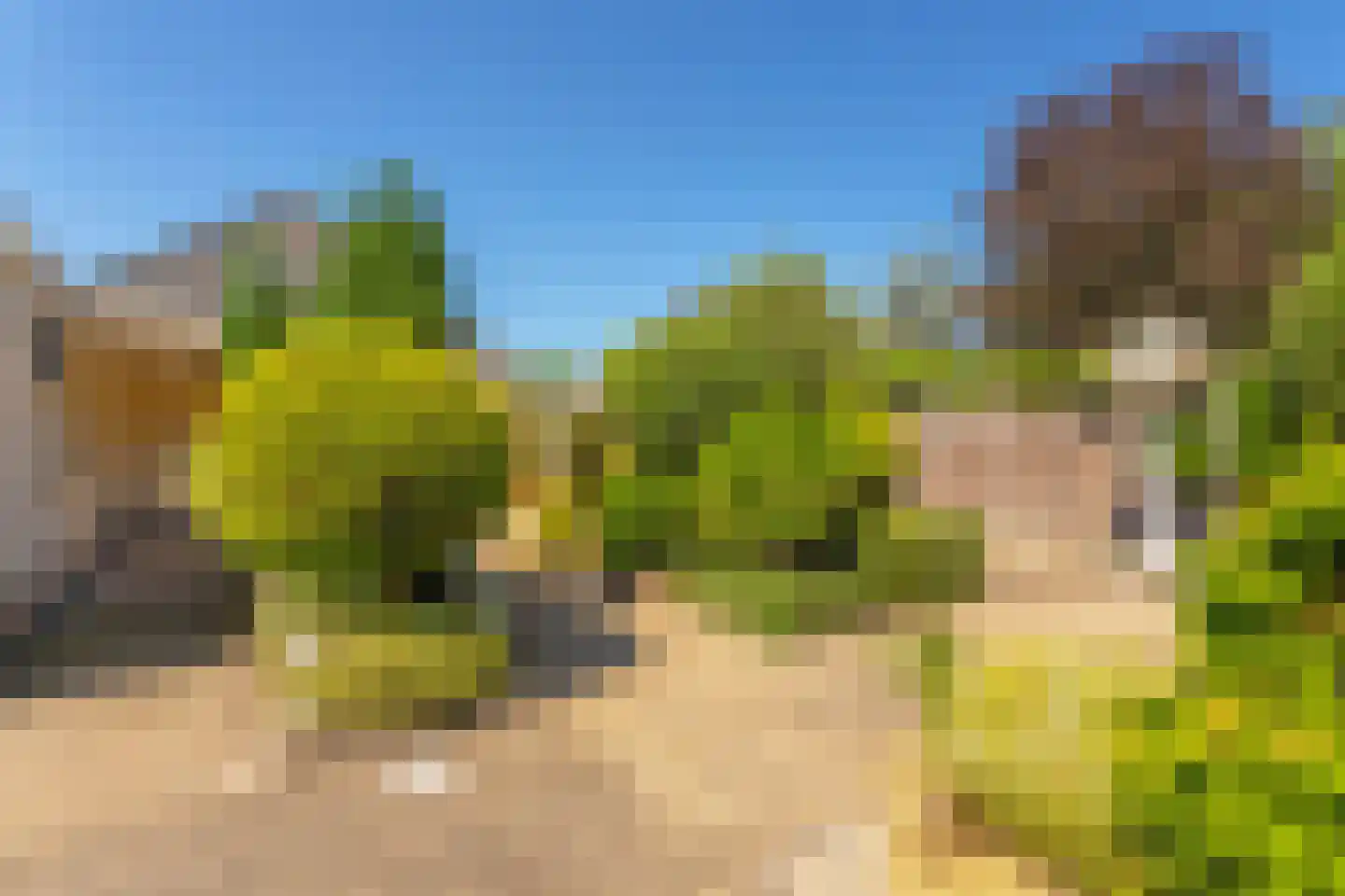 Heidelaan 47 Ermelo thumbnail 37