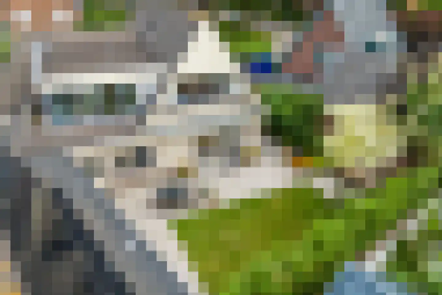 Heidelaan 54 Bennekom thumbnail 28