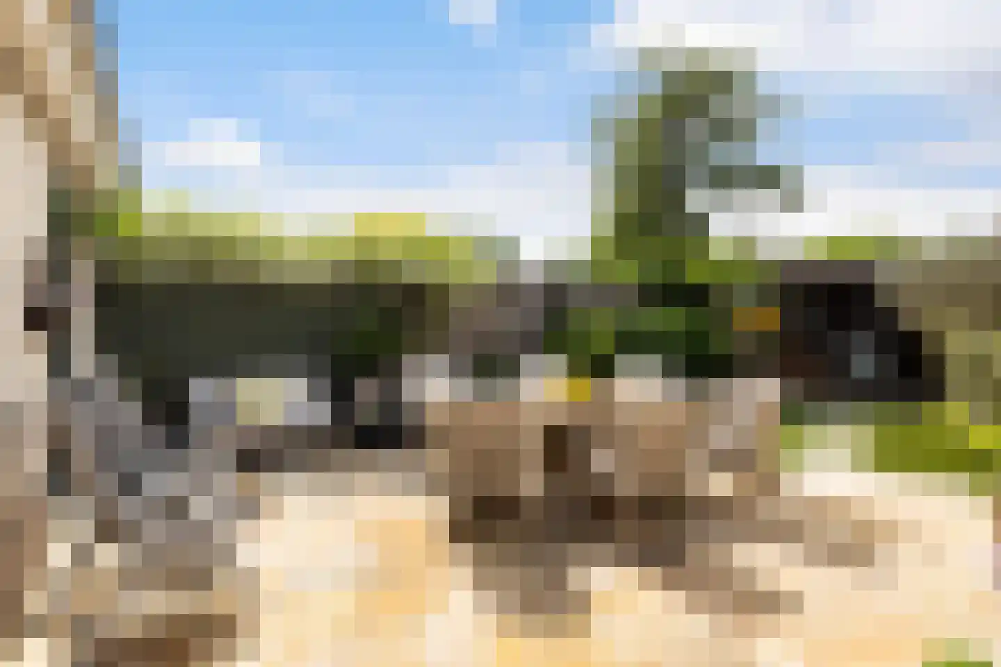 Heidelaan 62 Ermelo thumbnail 26
