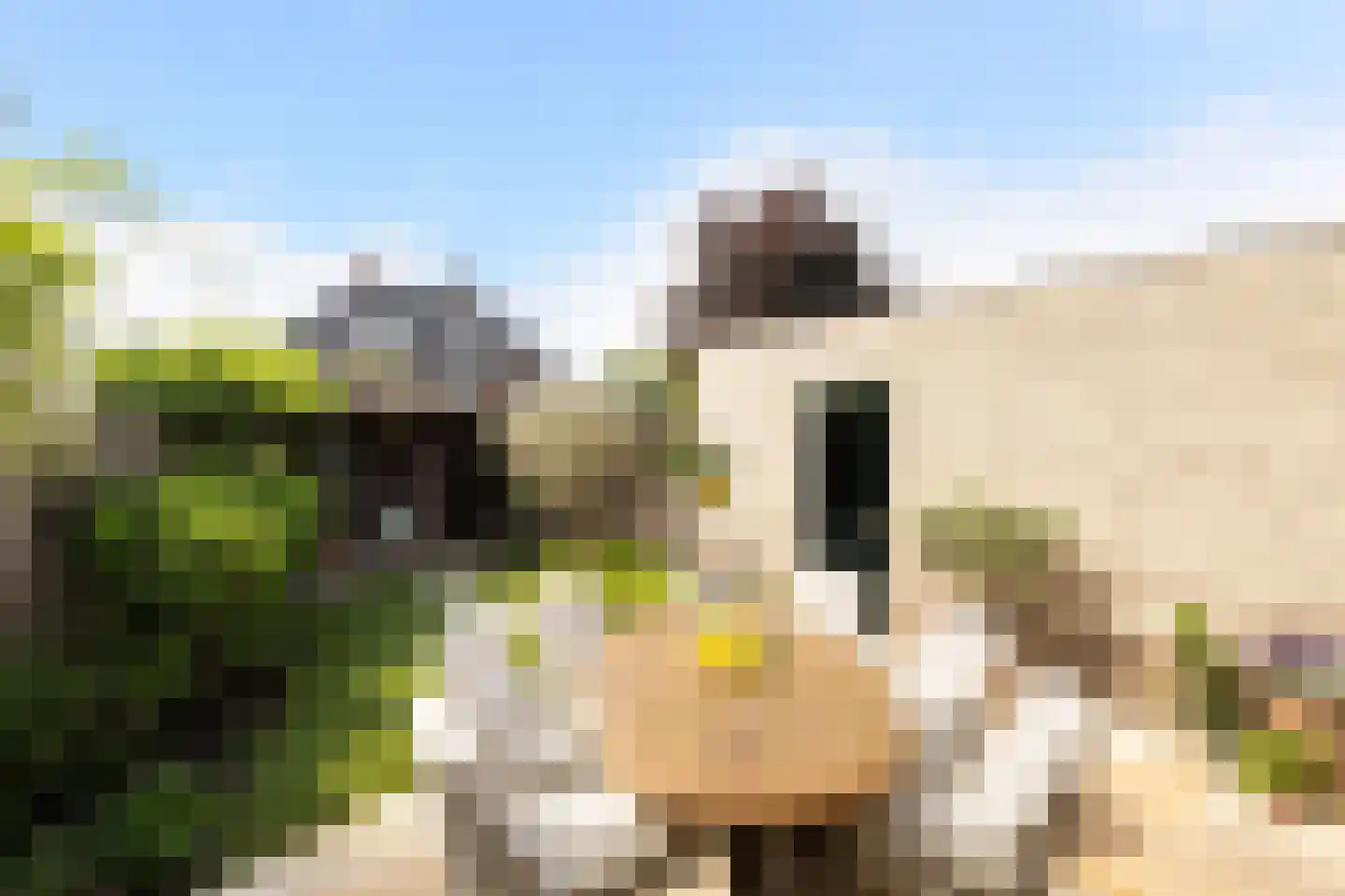Heidelaan 62 Ermelo thumbnail 27