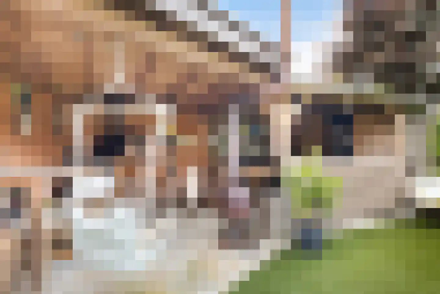 Heidelaan 62 Ermelo thumbnail 29