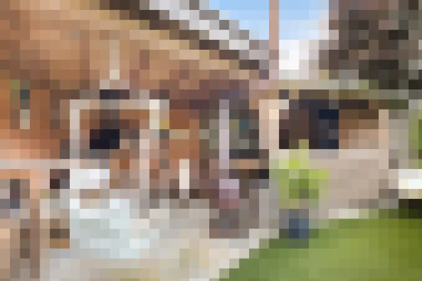 Heidelaan 62 Ermelo thumbnail 30