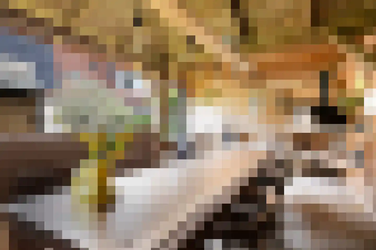 Heidelaan 62 Ermelo thumbnail 31