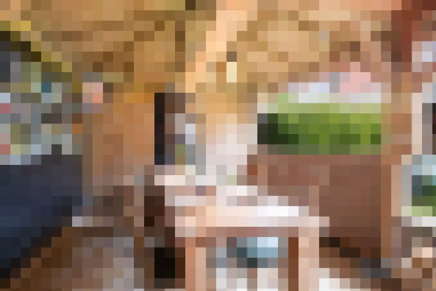 Heidelaan 62 Ermelo thumbnail 32