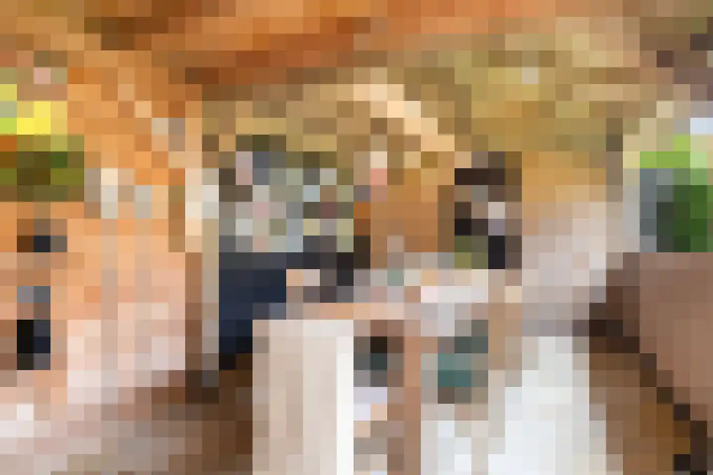 Heidelaan 62 Ermelo thumbnail 32