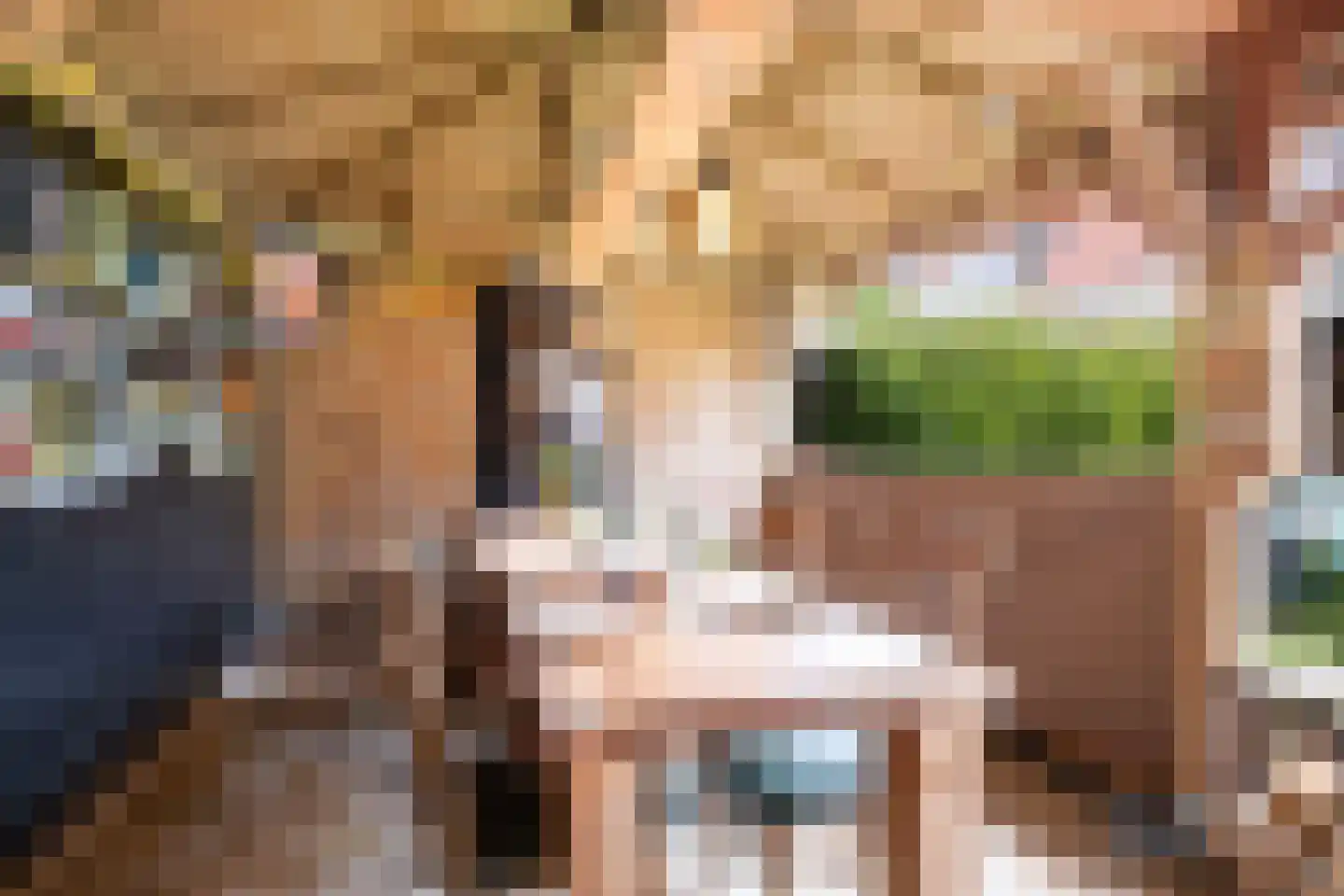Heidelaan 62 Ermelo thumbnail 33