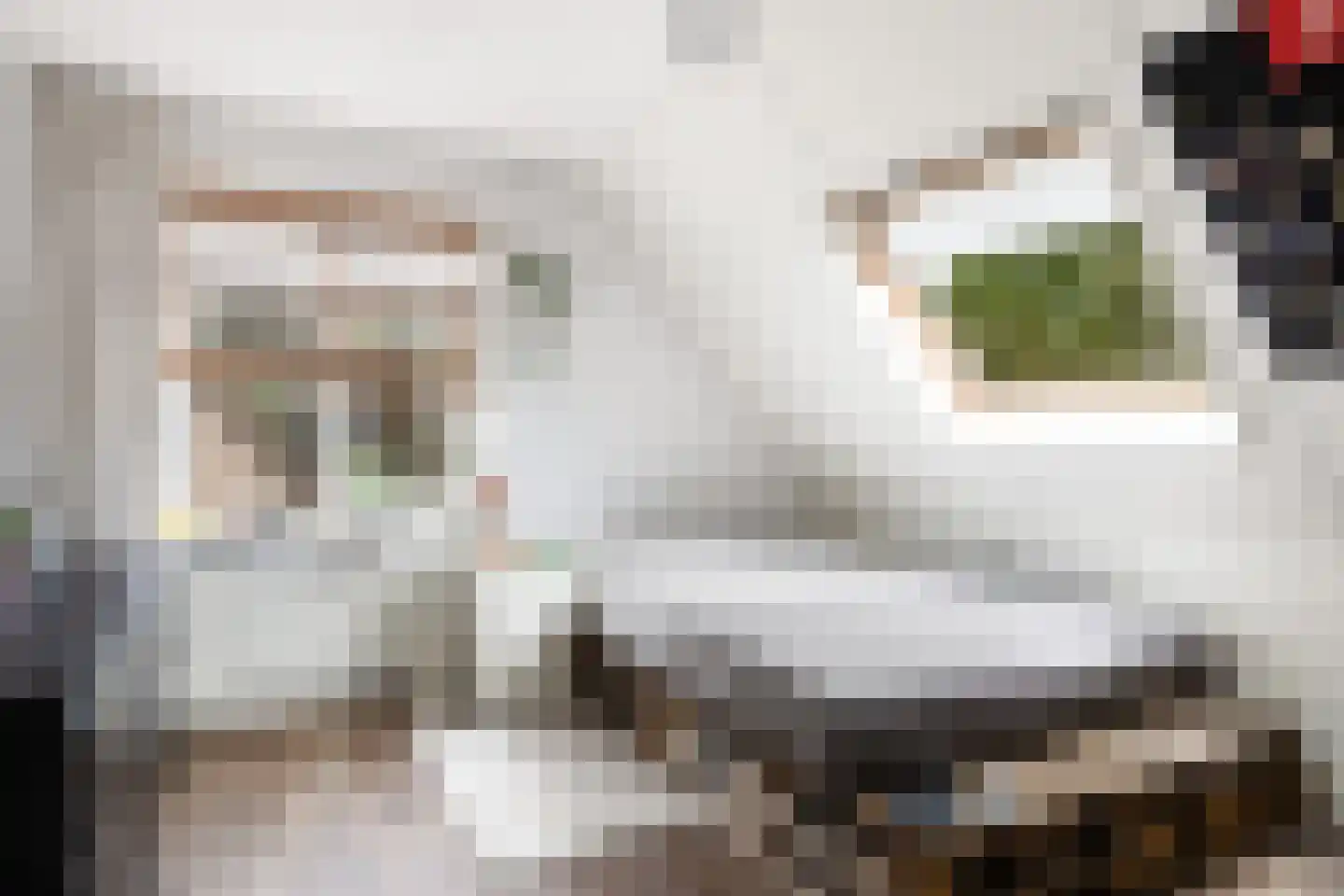 Heidelaan 62 Ermelo thumbnail 38