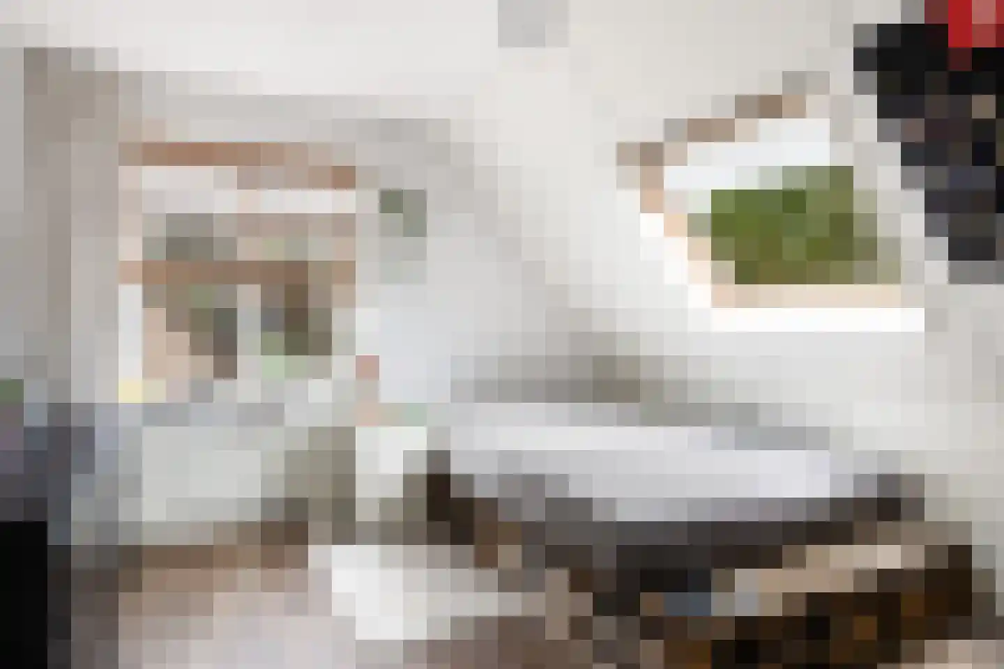 Heidelaan 62 Ermelo thumbnail 39
