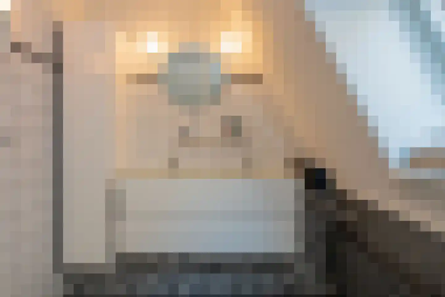 Heidelaan 62 't Harde thumbnail 33