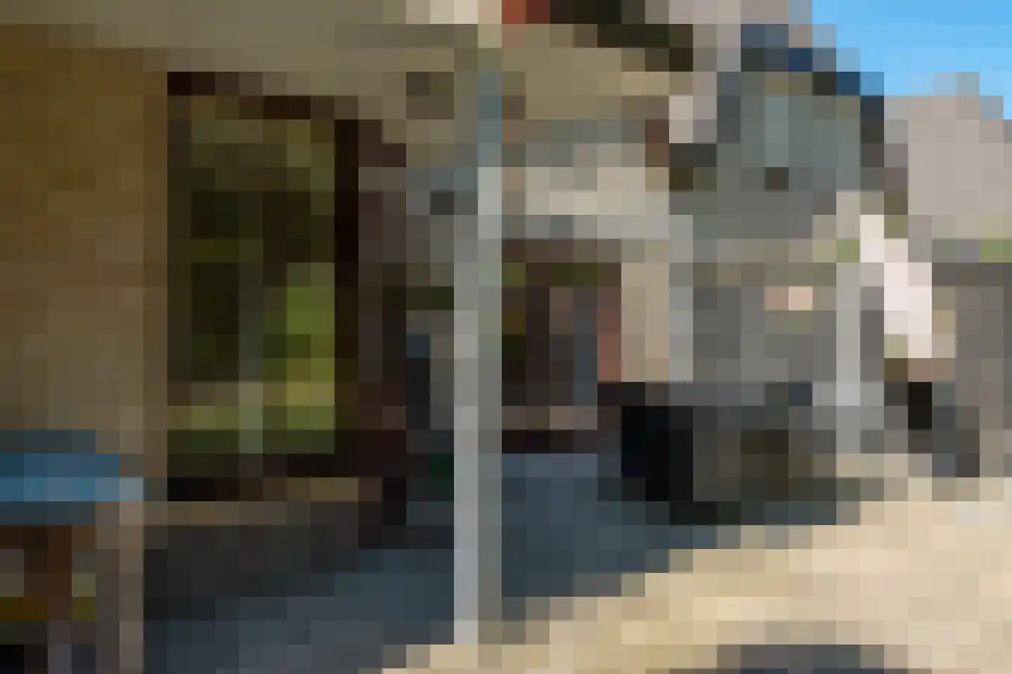 Heidelaan 62 't Harde thumbnail 48