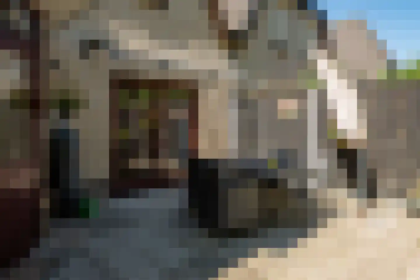 Heidelaan 62 't Harde thumbnail 49