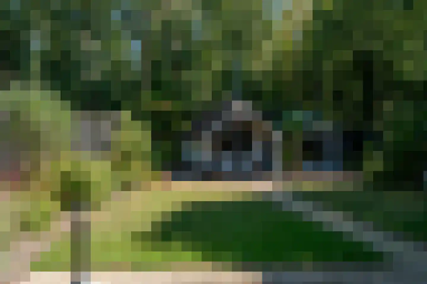 Heidelaan 62 't Harde thumbnail 51