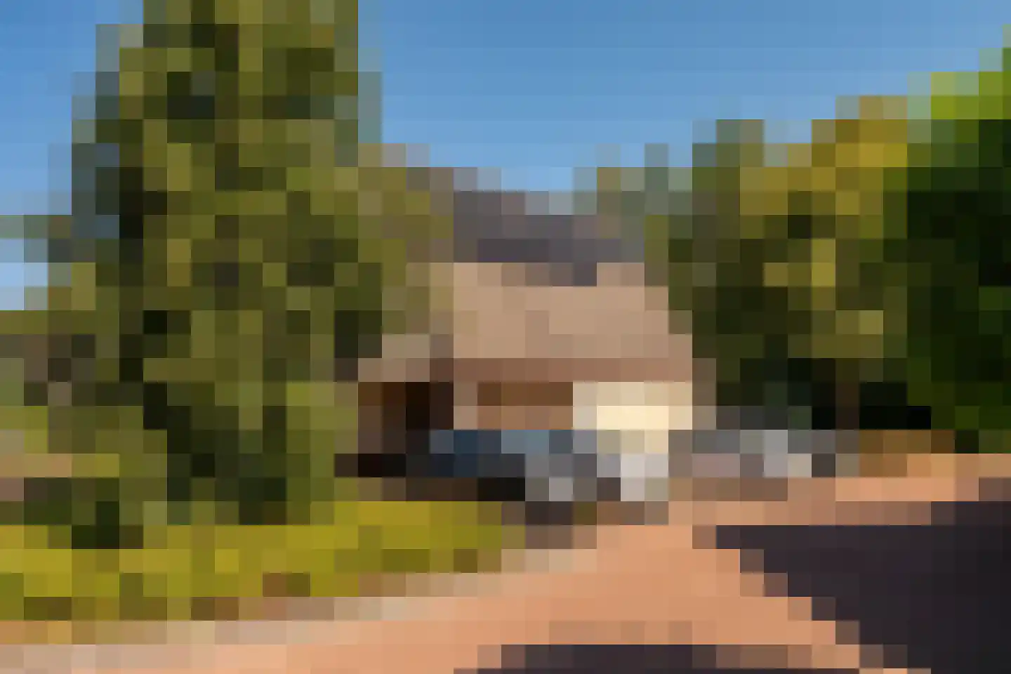 Heidelaan 62 't Harde thumbnail 56