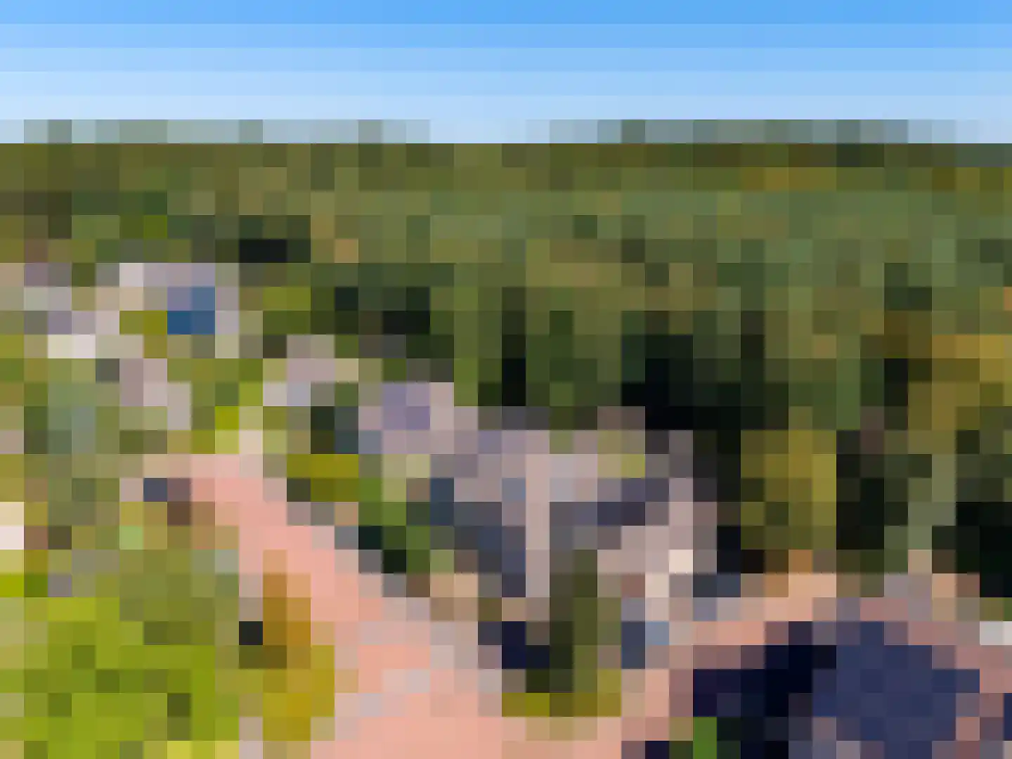 Heidelaan 62 't Harde thumbnail 61