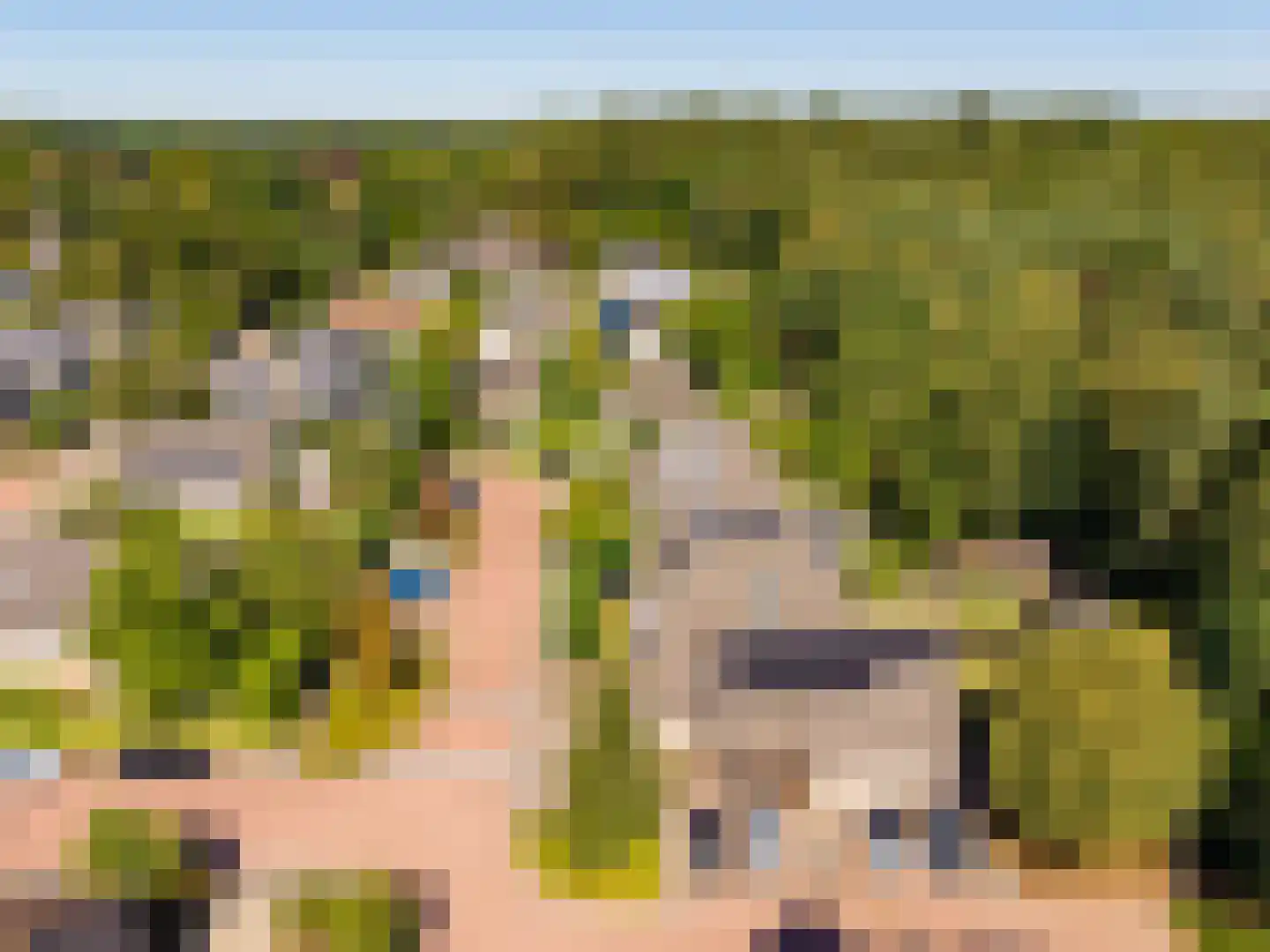 Heidelaan 62 't Harde thumbnail 62