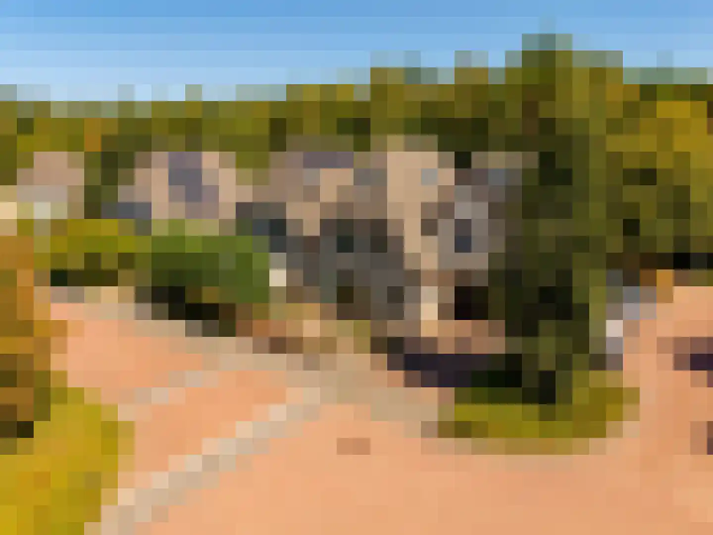 Heidelaan 62 't Harde thumbnail 64