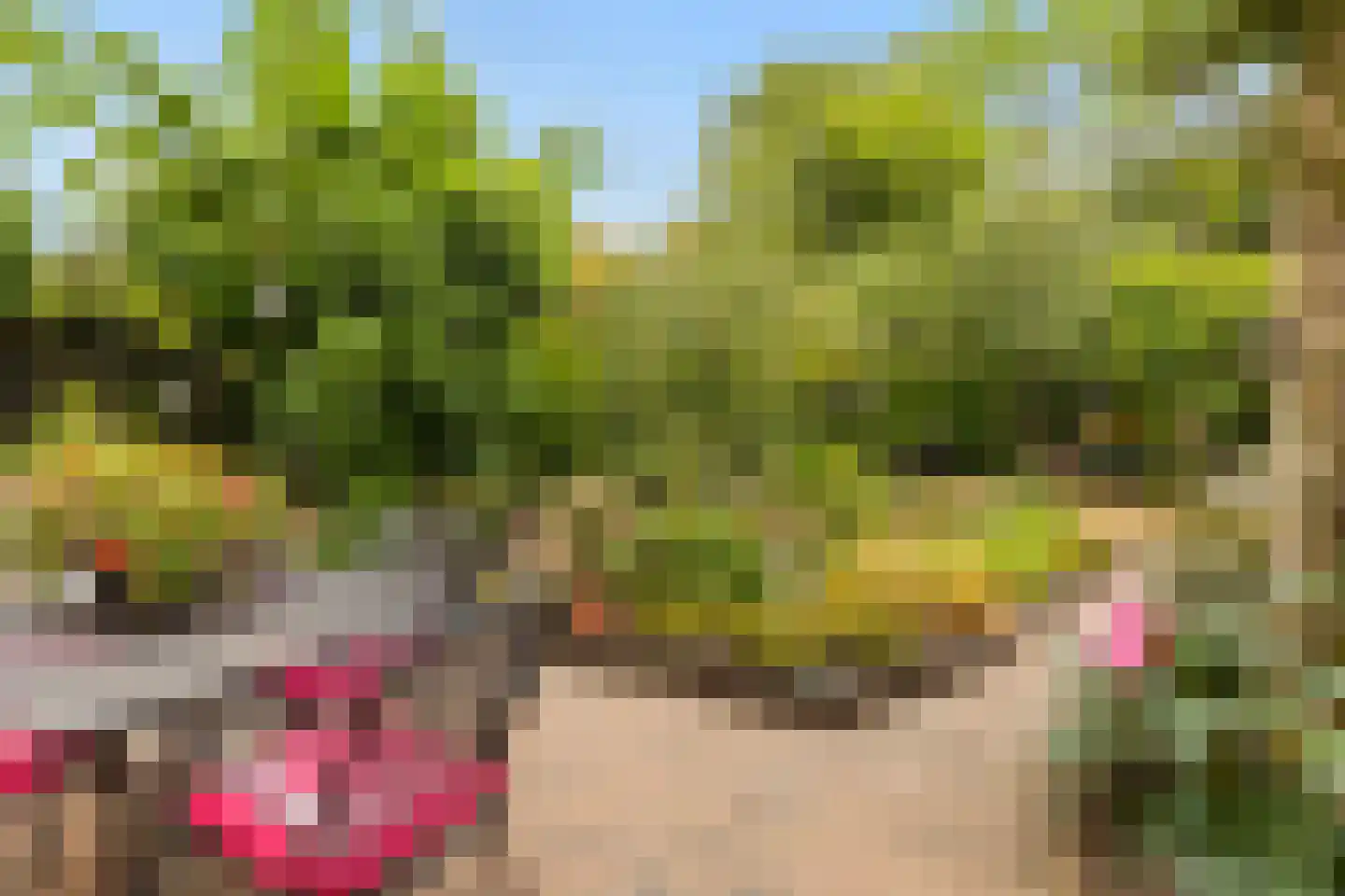 Heidelaan 70 't Harde thumbnail 39