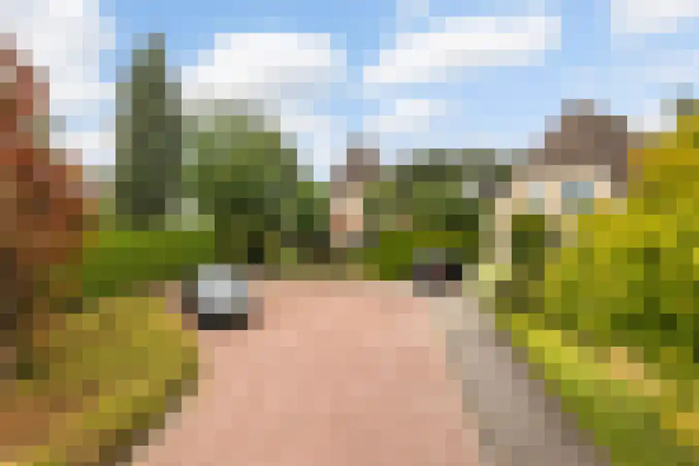 Heidelaan 70 't Harde thumbnail 4