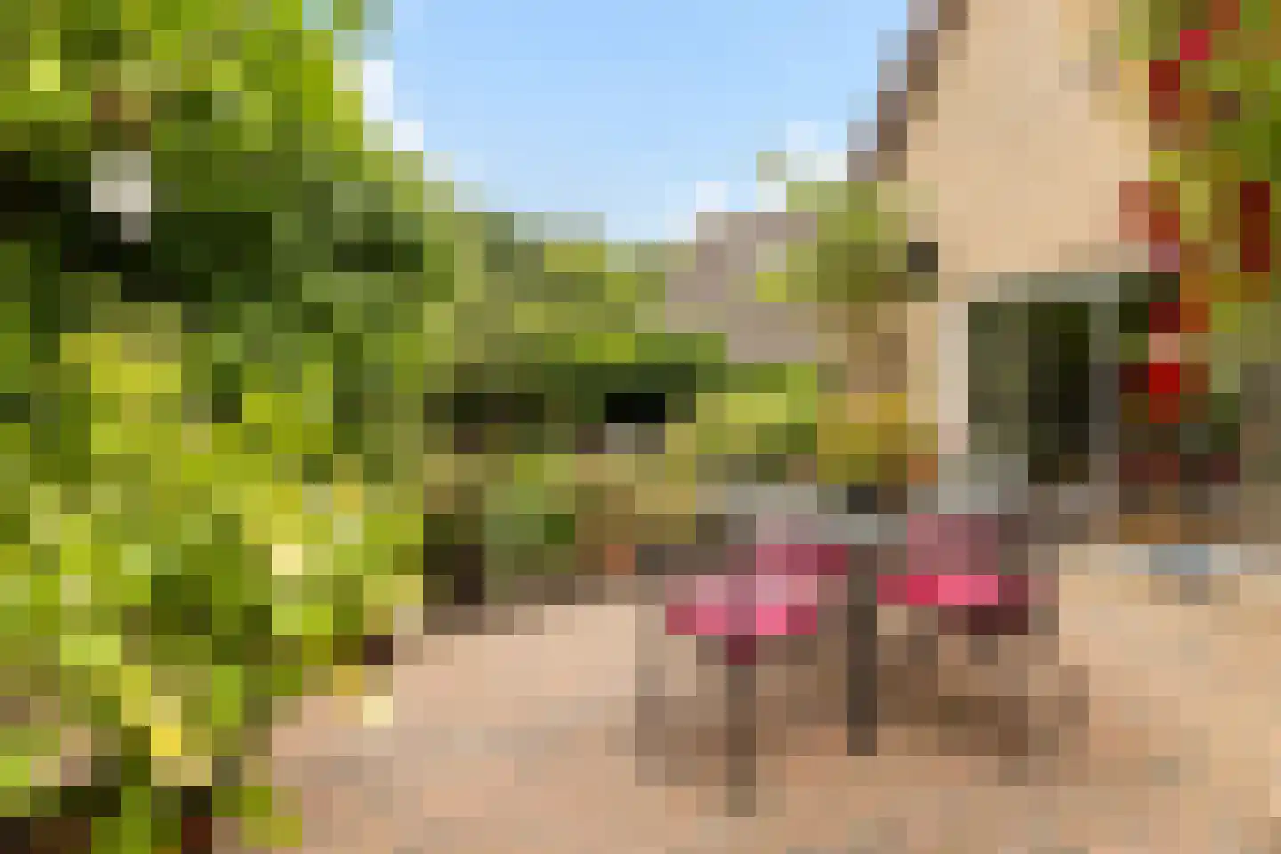 Heidelaan 70 't Harde thumbnail 40