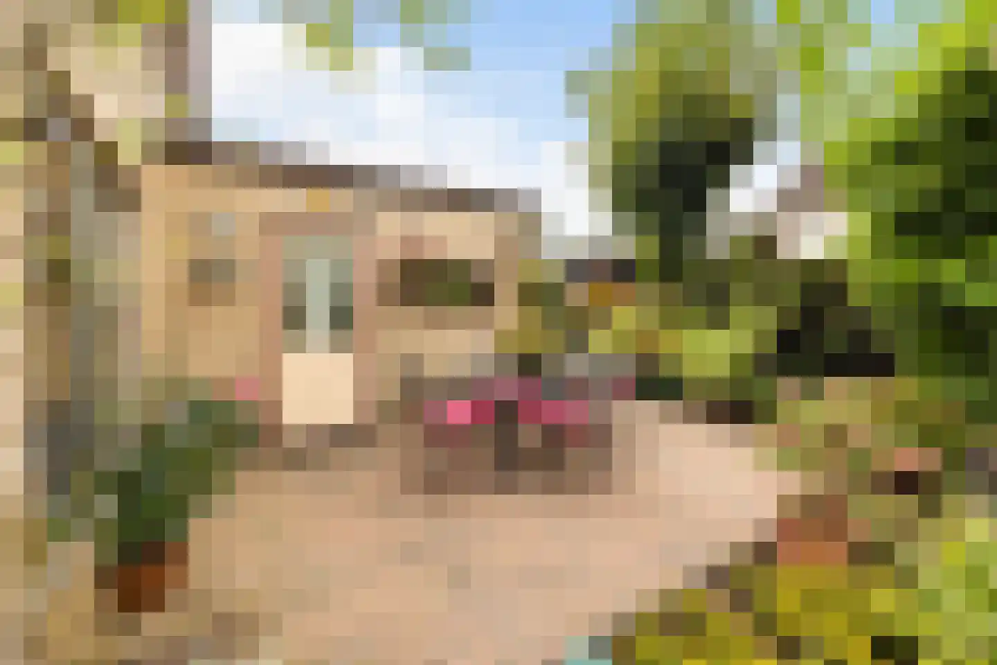 Heidelaan 70 't Harde thumbnail 41