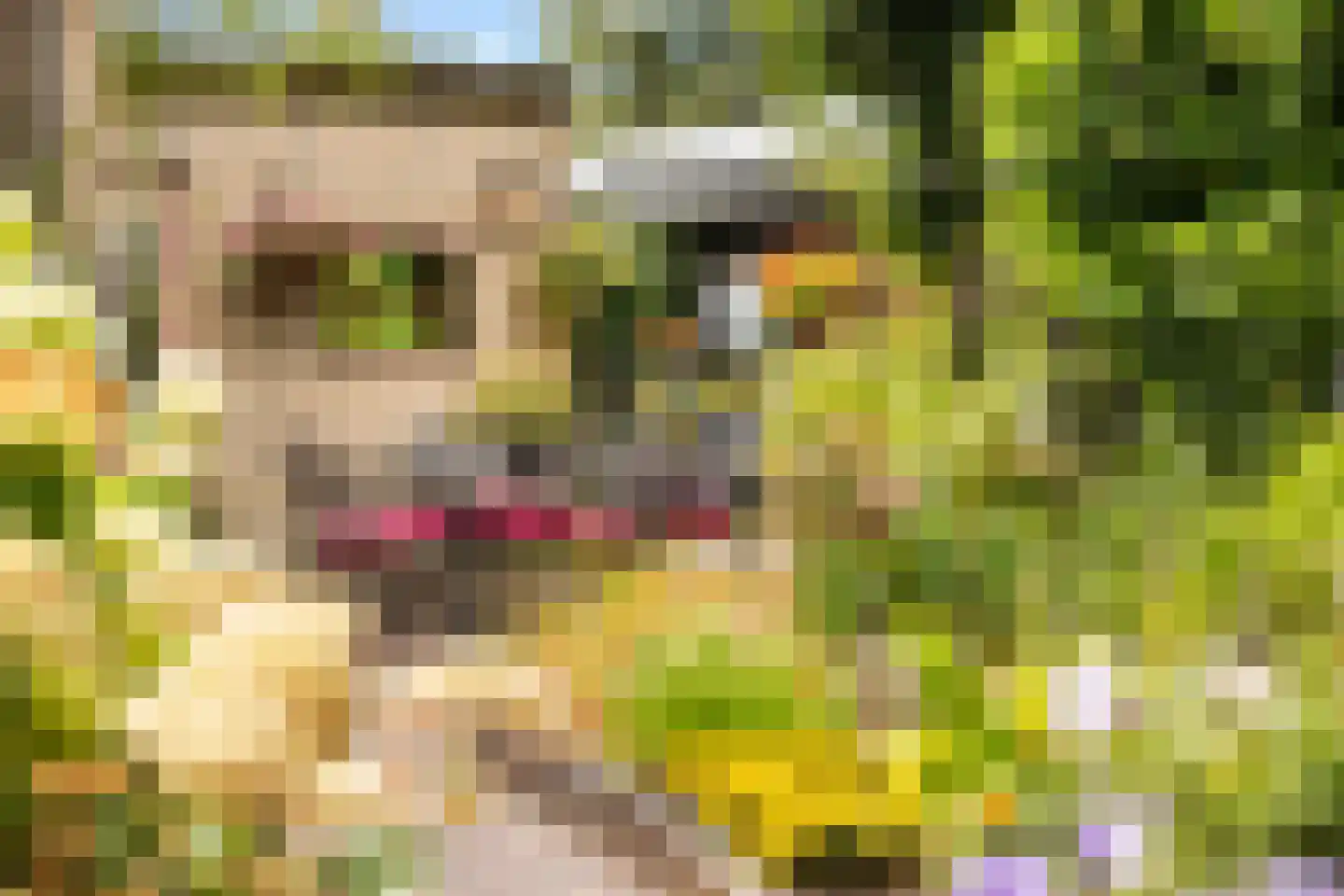 Heidelaan 70 't Harde thumbnail 42