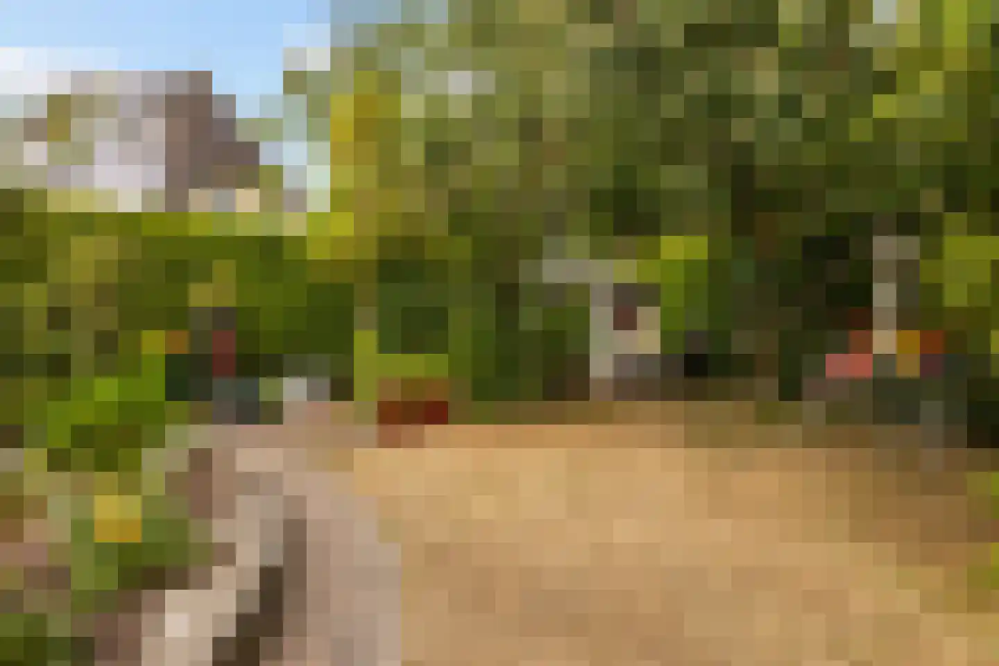 Heidelaan 70 't Harde thumbnail 44