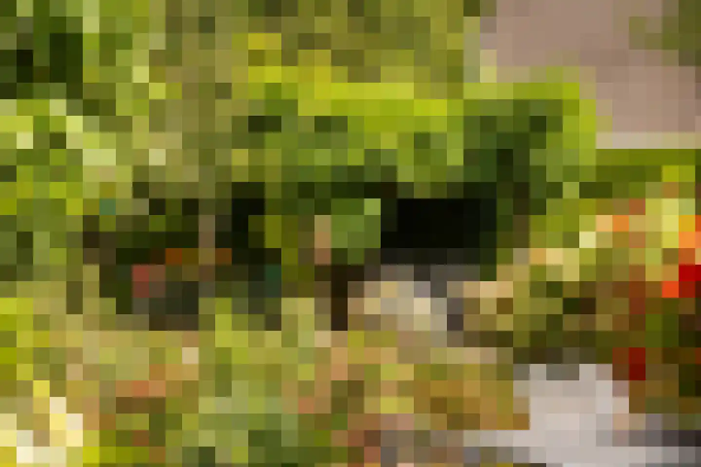 Heidelaan 70 't Harde thumbnail 46