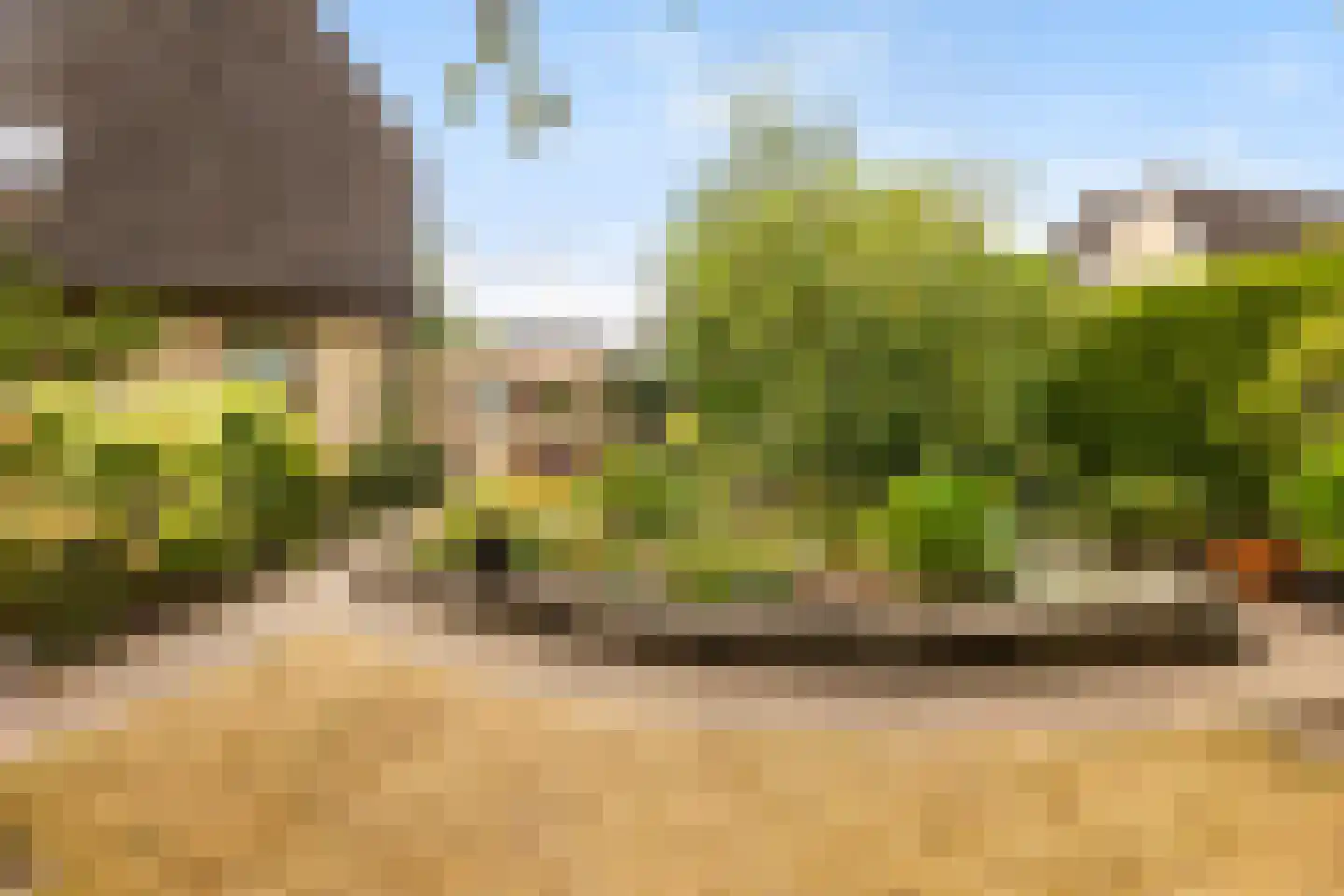 Heidelaan 70 't Harde thumbnail 48